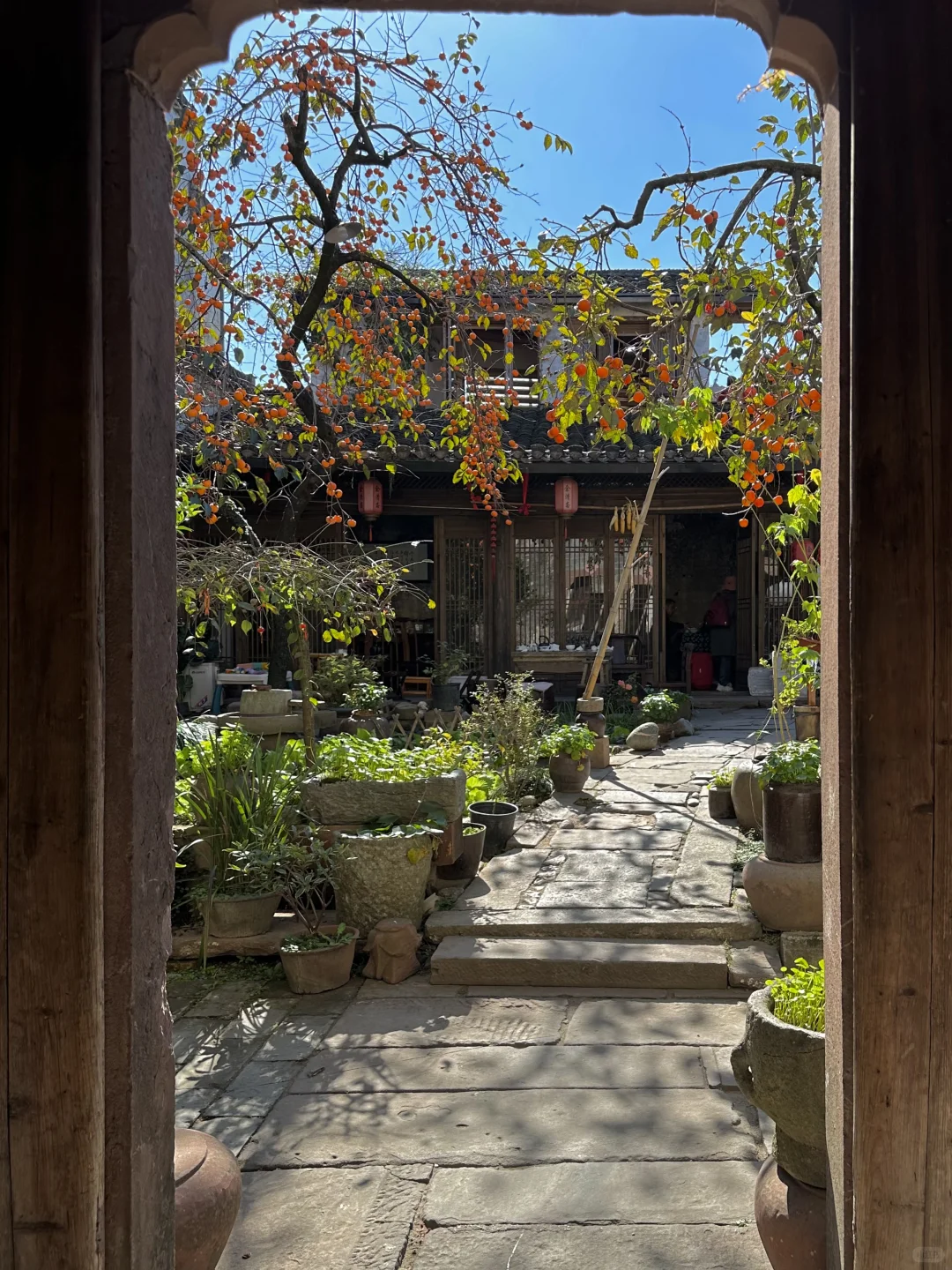 为这“柿柿如意”，特意去了趟皖南🍅