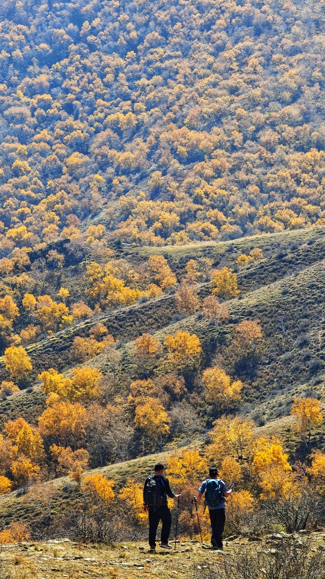 包头以及周边徒步赏秋推荐