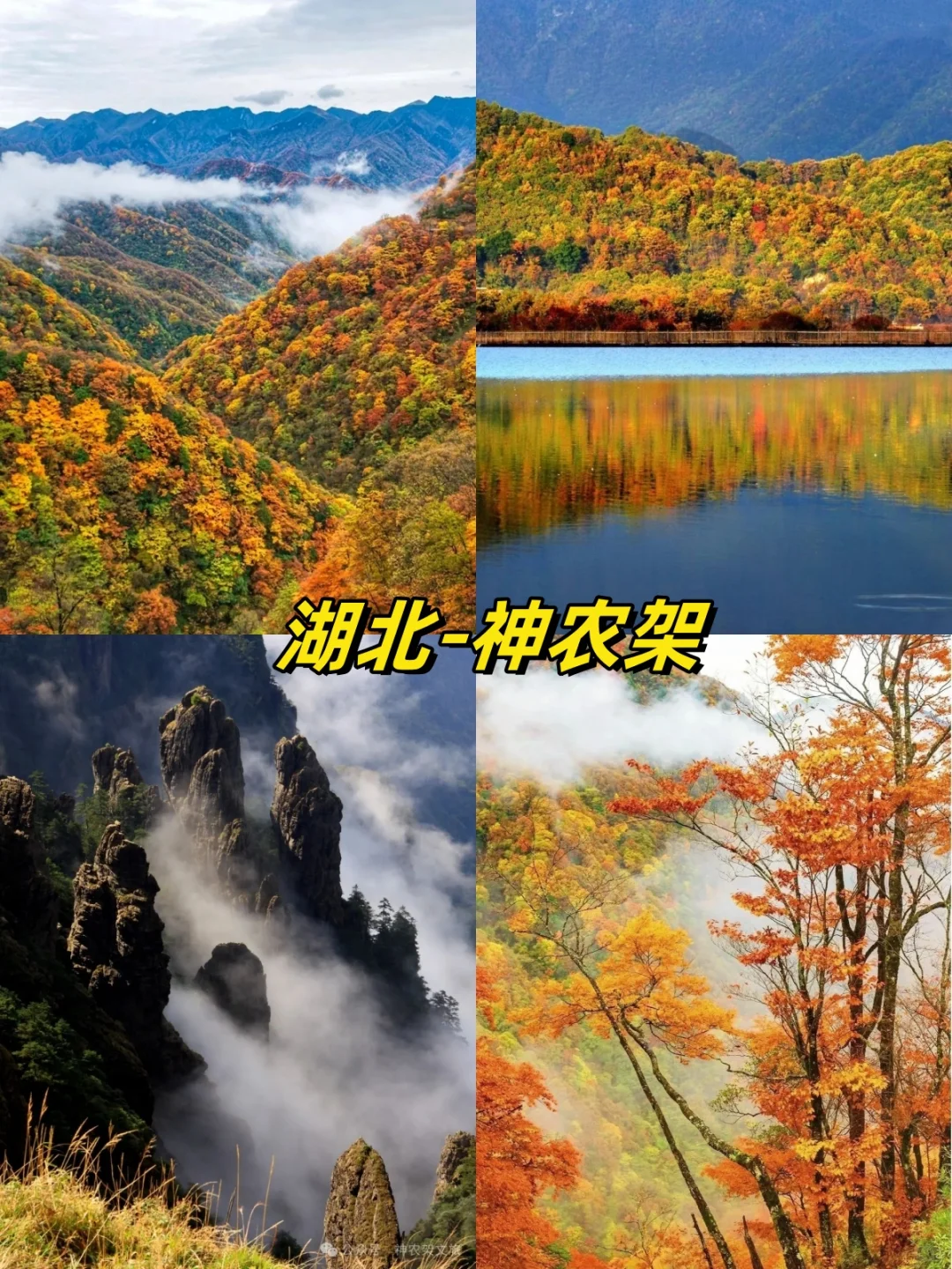 🍁国内秋日限定!13 个赏秋目的地大汇总