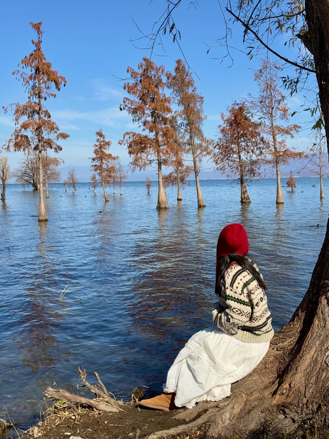 大理的秋天🍂每一帧都是人生Live呀！！！！