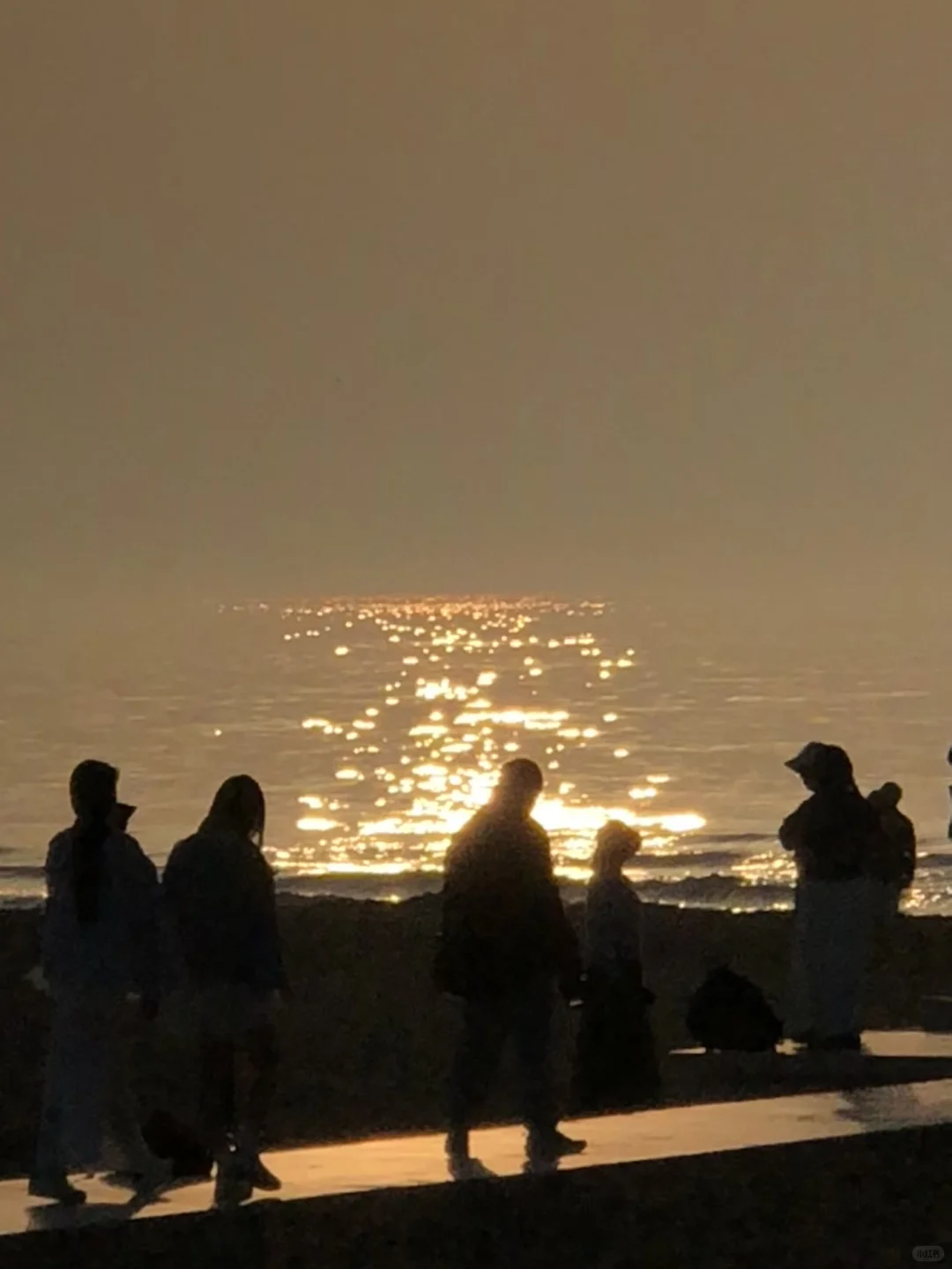 Aranya memories⋆ 🫧