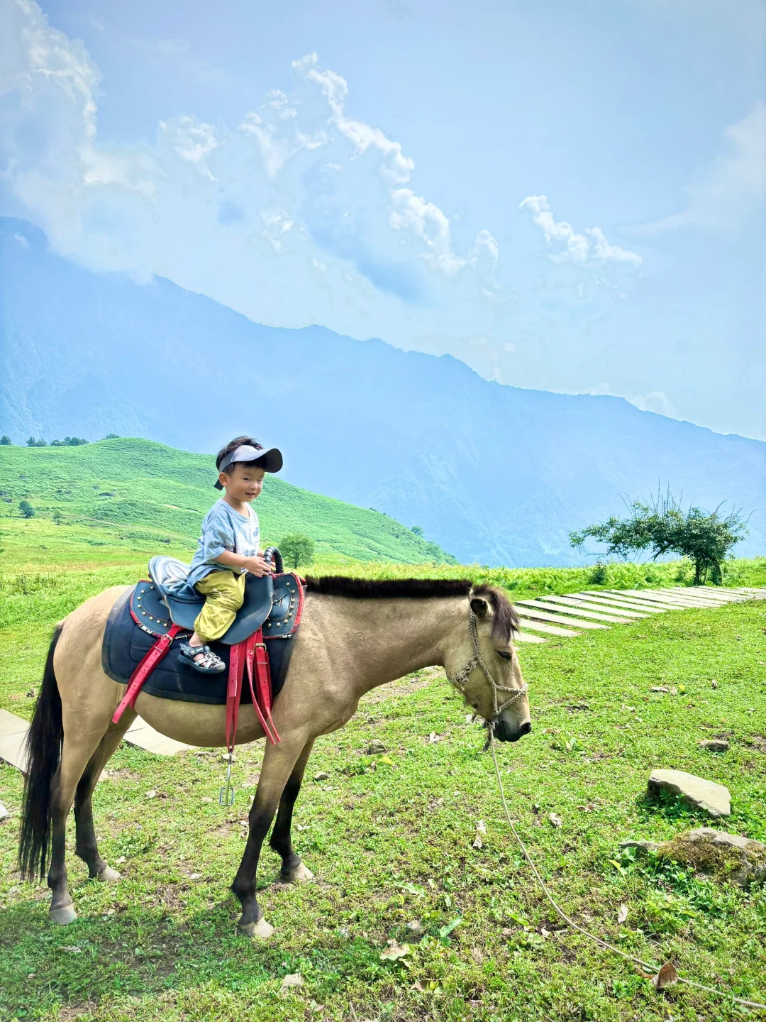 不想爬山又想凉快且绿植茂盛的地方