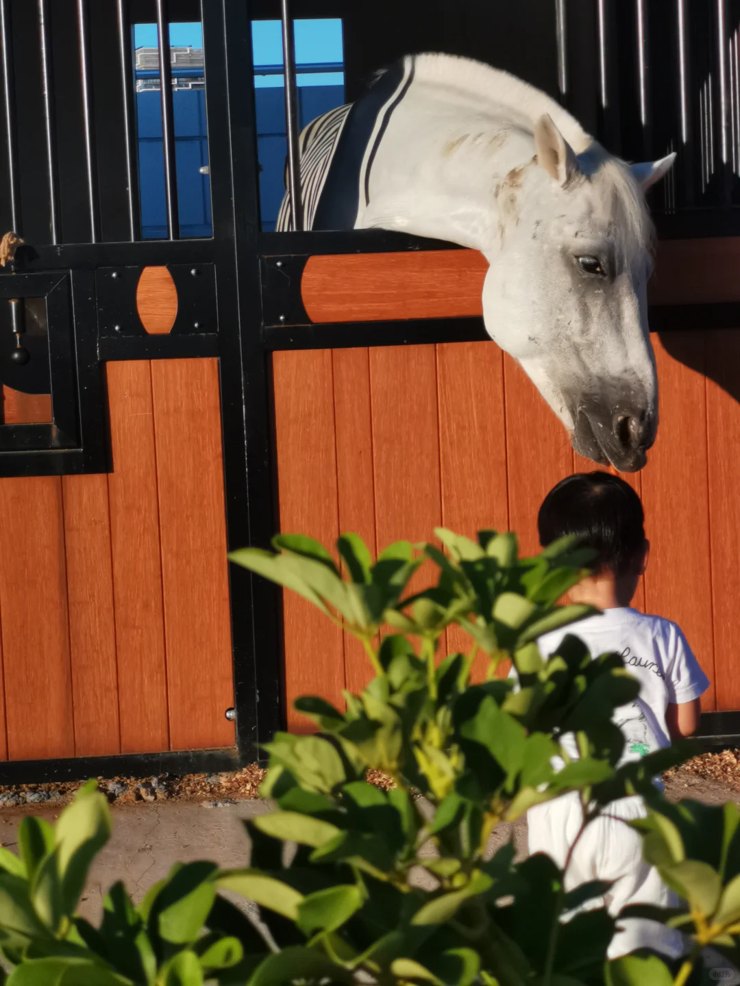 要爆了🎈1个地铁直达4个宝藏景点路线～