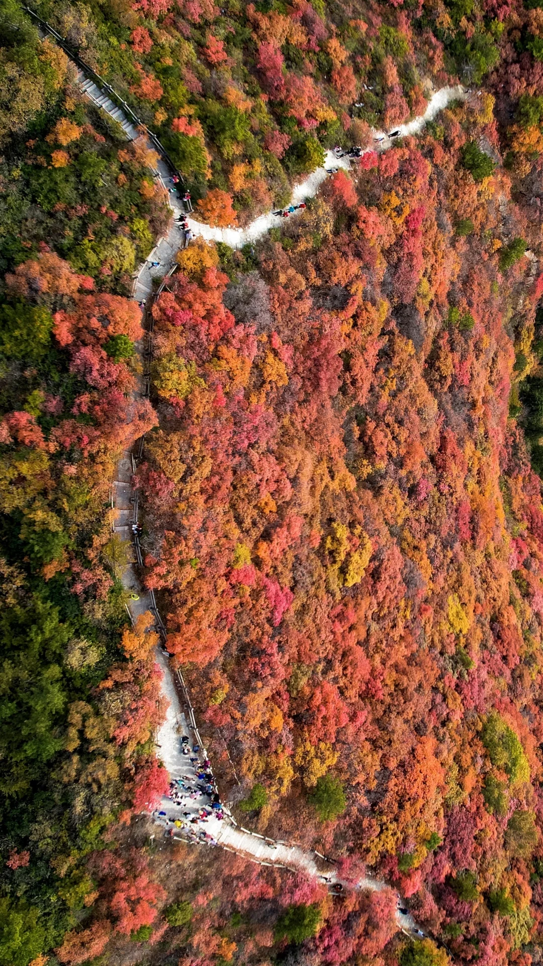 发朋友圈被问爆的绝美红叶谷🍁附地图
