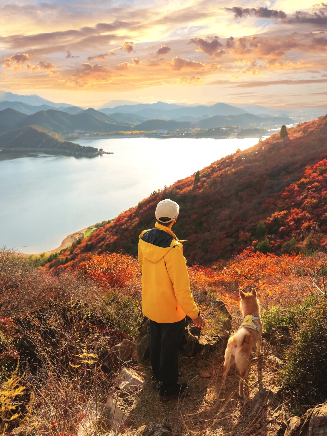 发朋友圈被问爆的绝美红叶谷🍁附地图