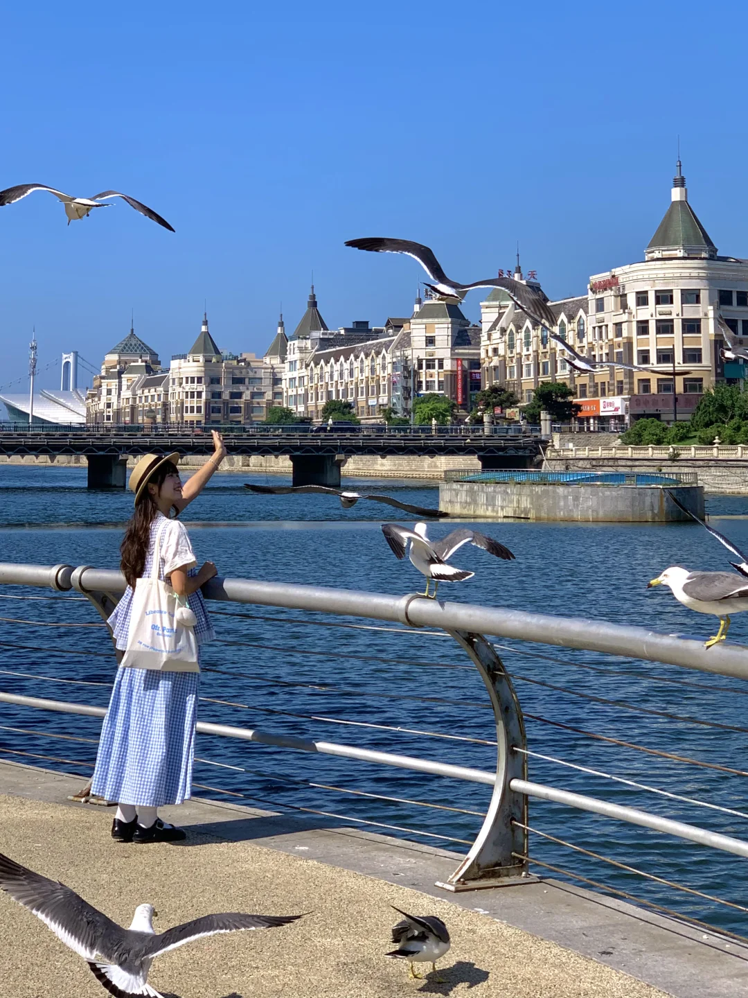 Live实况🌊来大连拍到了18张人生照片!!😭