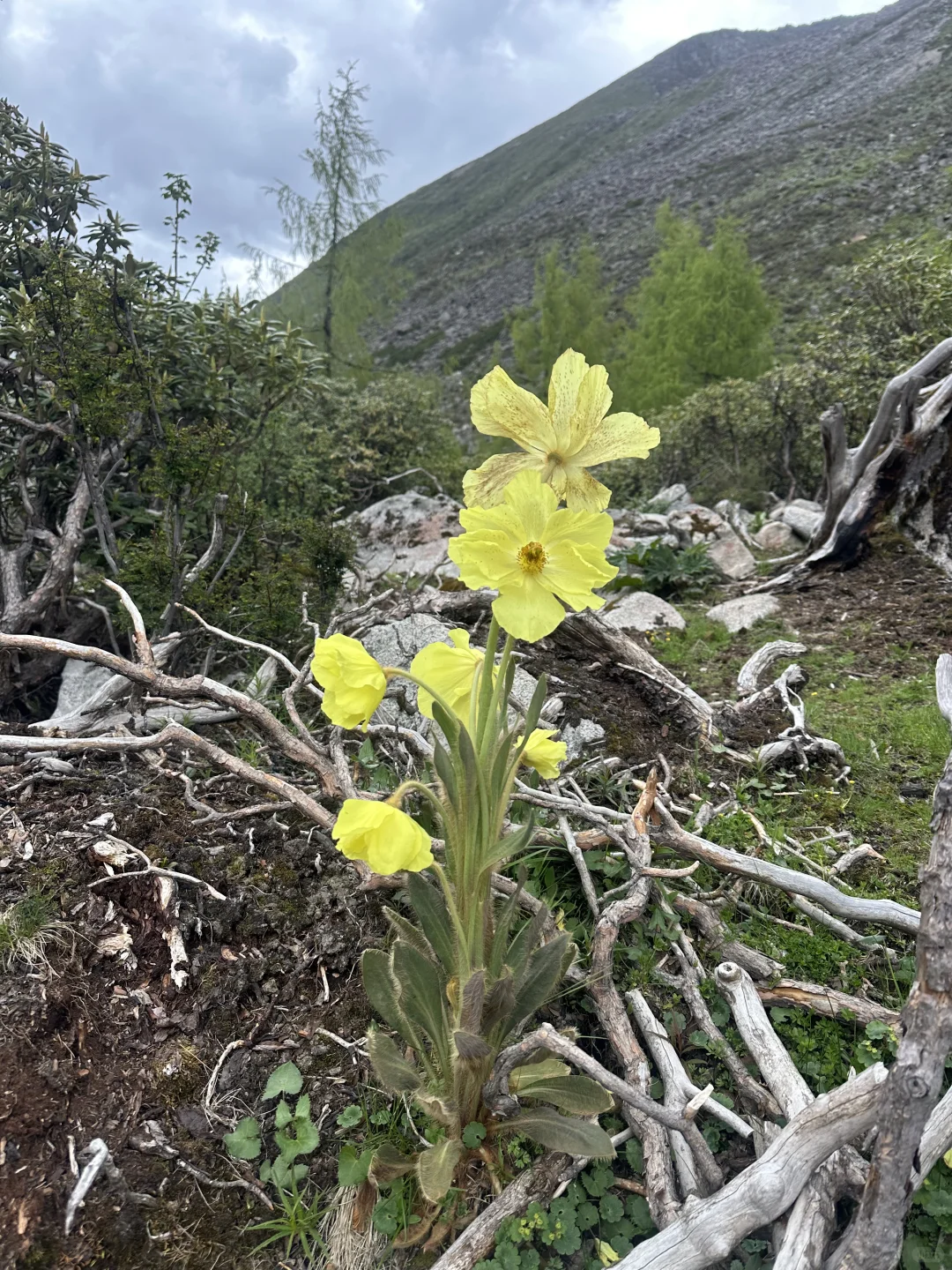 在山里|我会更接近我自己