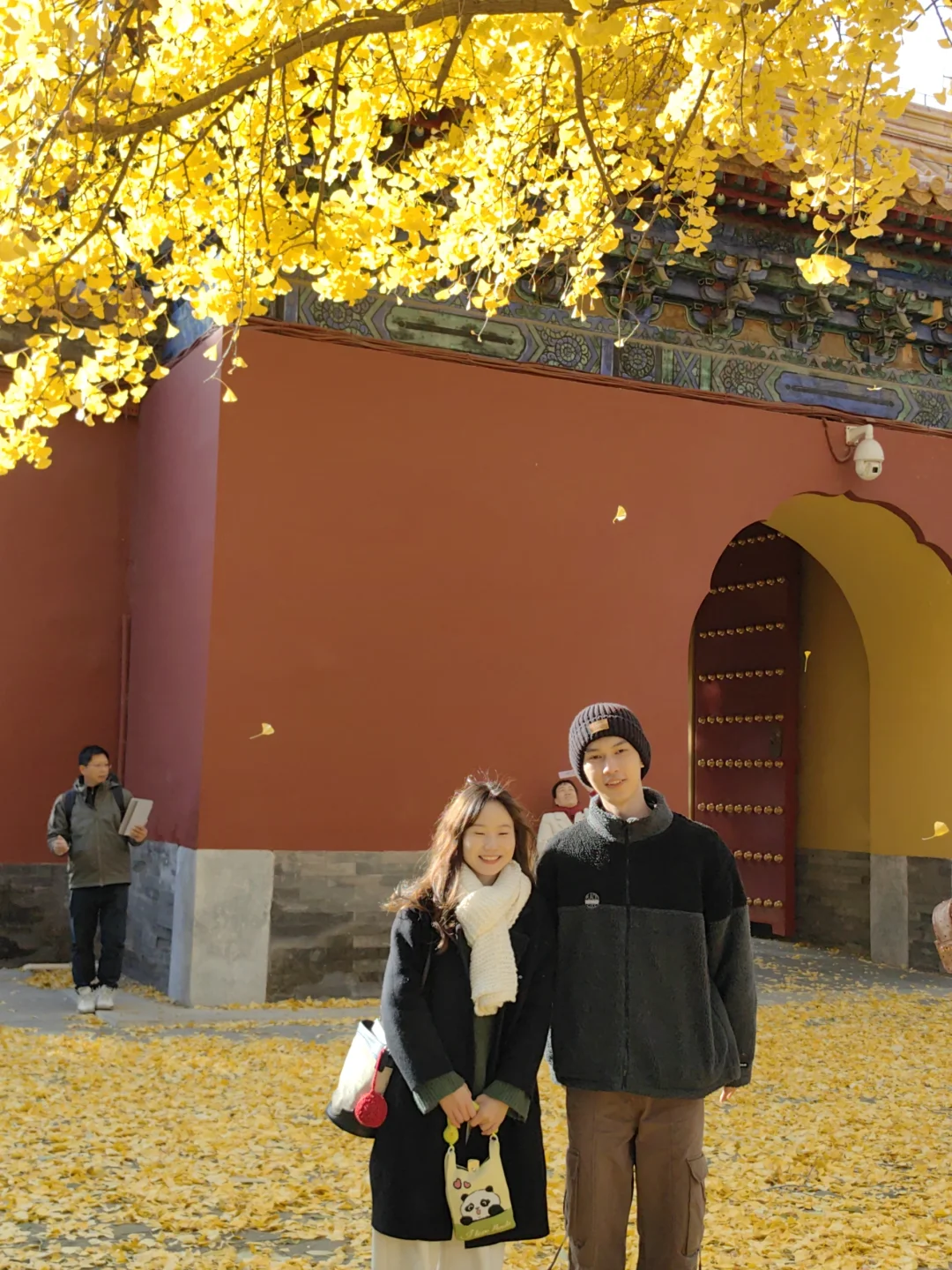 跟风成功！北京赏秋打卡地详细路线