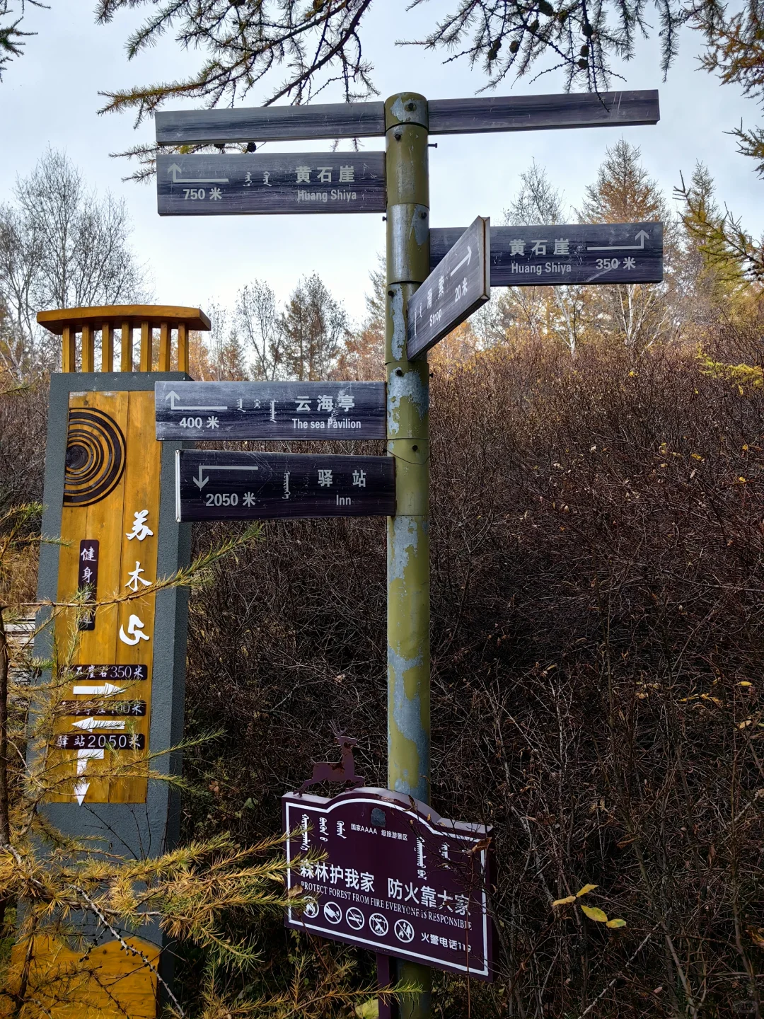 📍乌兰察布·苏木山森林公园