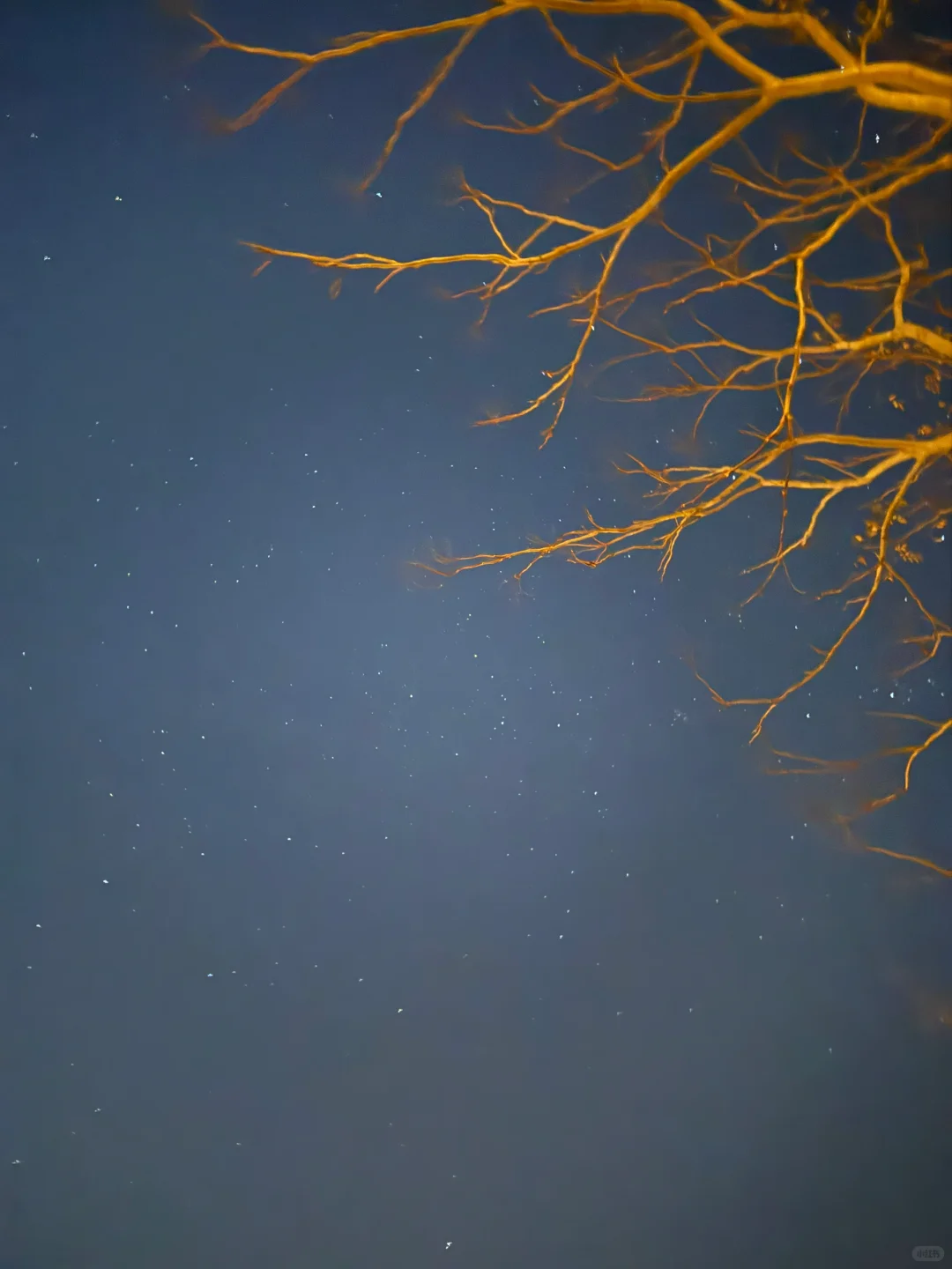 🌟 普陀山：一个人的朝圣之旅