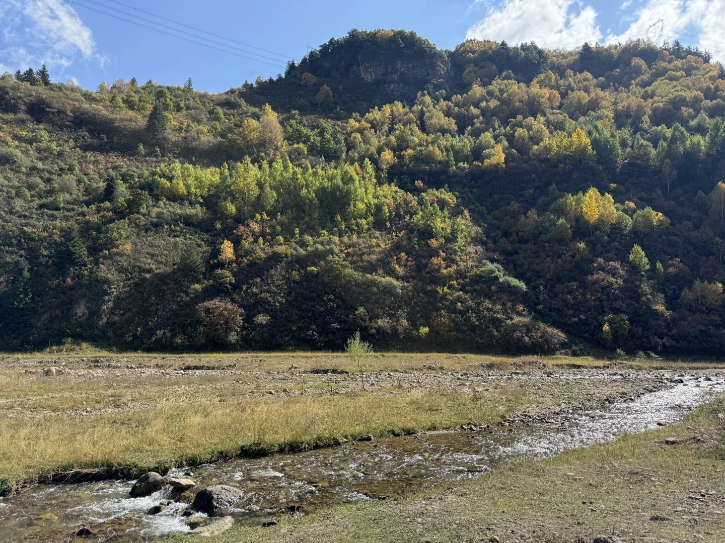 你可以永远相信芦芽山的秋日森林
