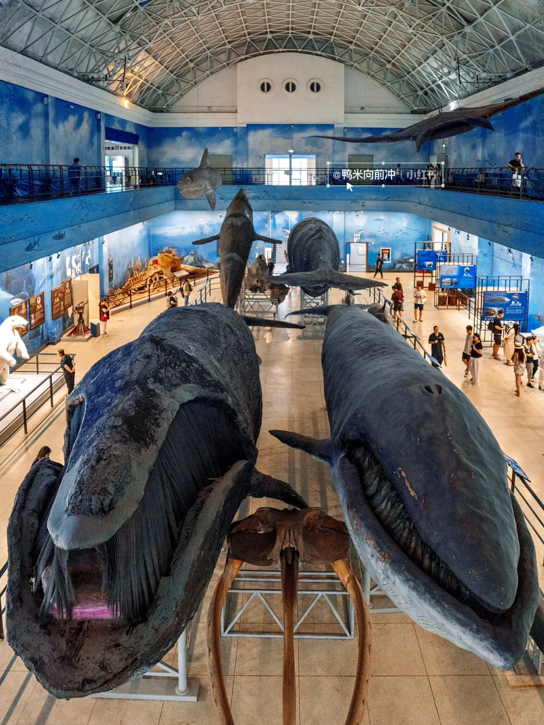 迄今为止，我最爱的海滨城市出现了！！