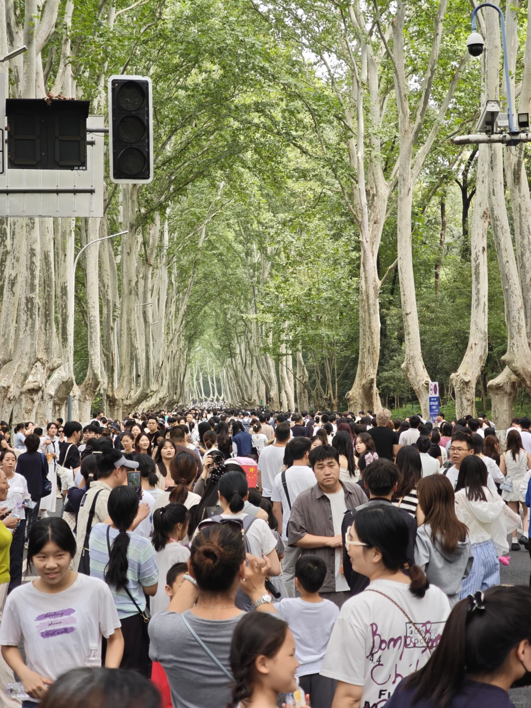 2025.10.1中午11点45，梧桐大道