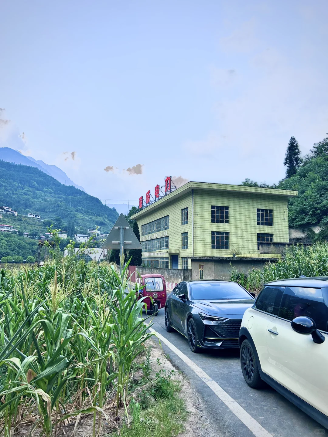 不想爬山又想凉快且绿植茂盛的地方