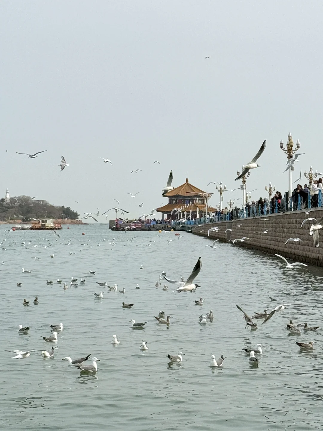 刚从青岛回来！！熬夜整理的三日旅游攻略…