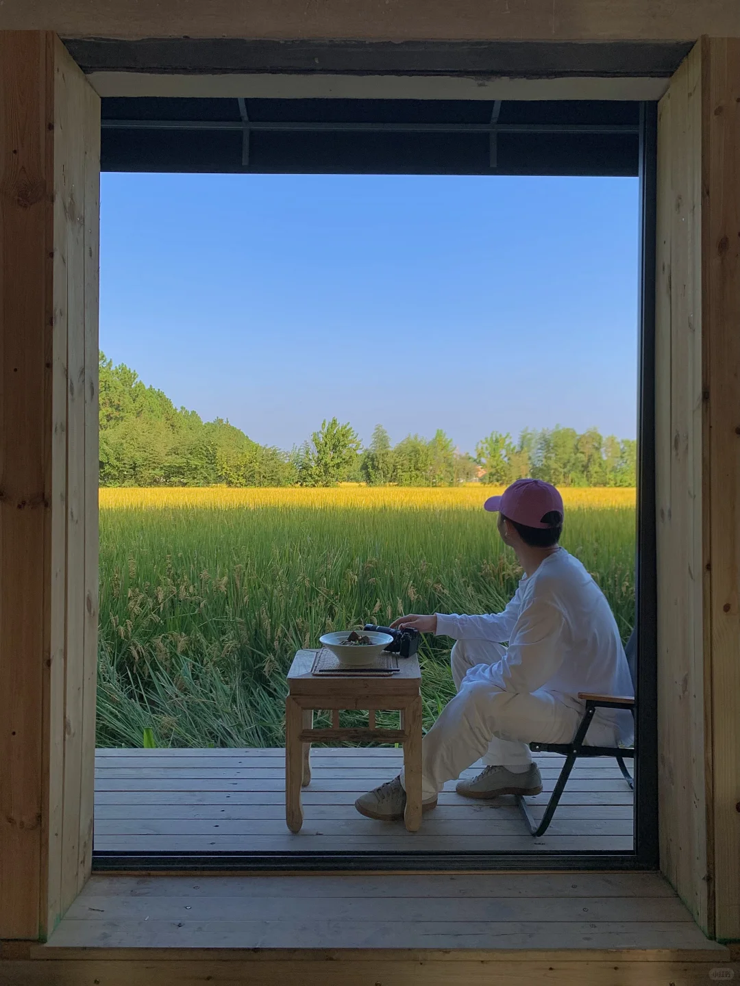 接下来的杭州…堪称秋日旅行天花板！（live版