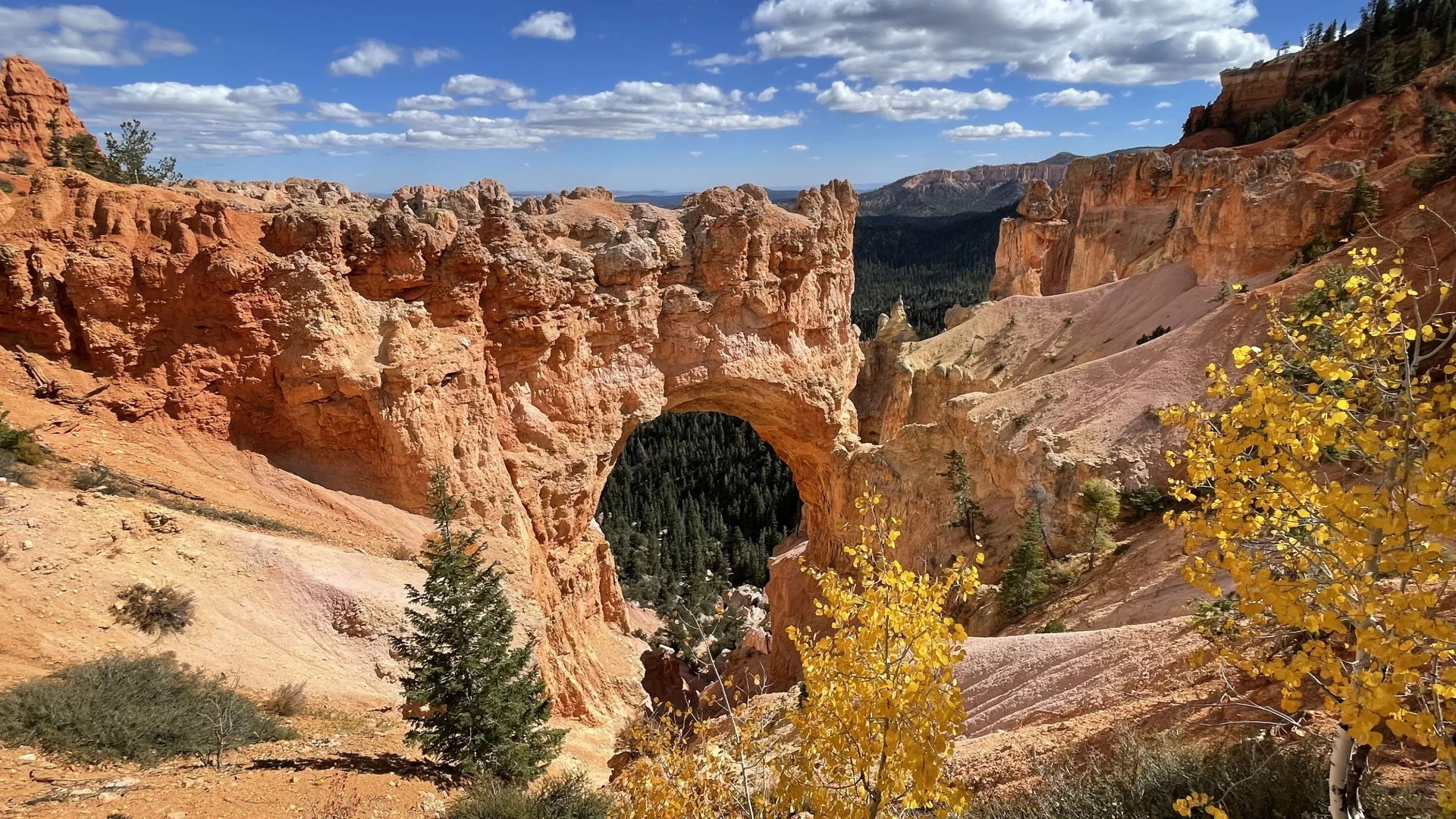 美国旅游和国内旅游的不同感受
