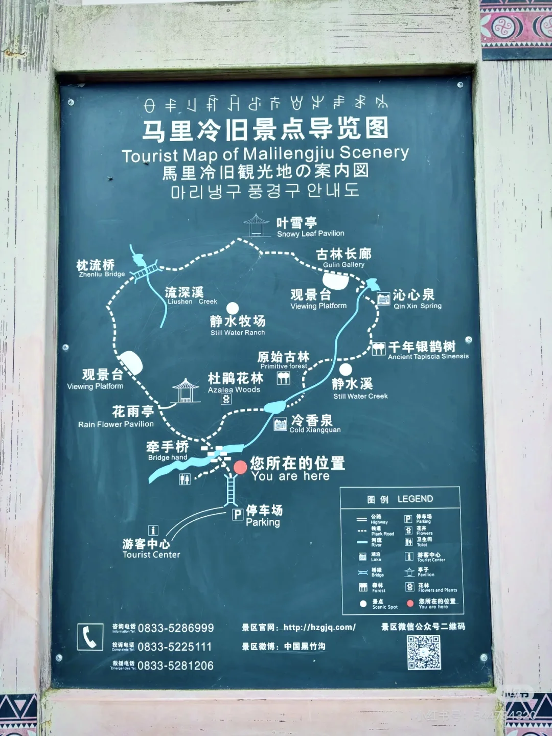 不想爬山又想凉快且绿植茂盛的地方