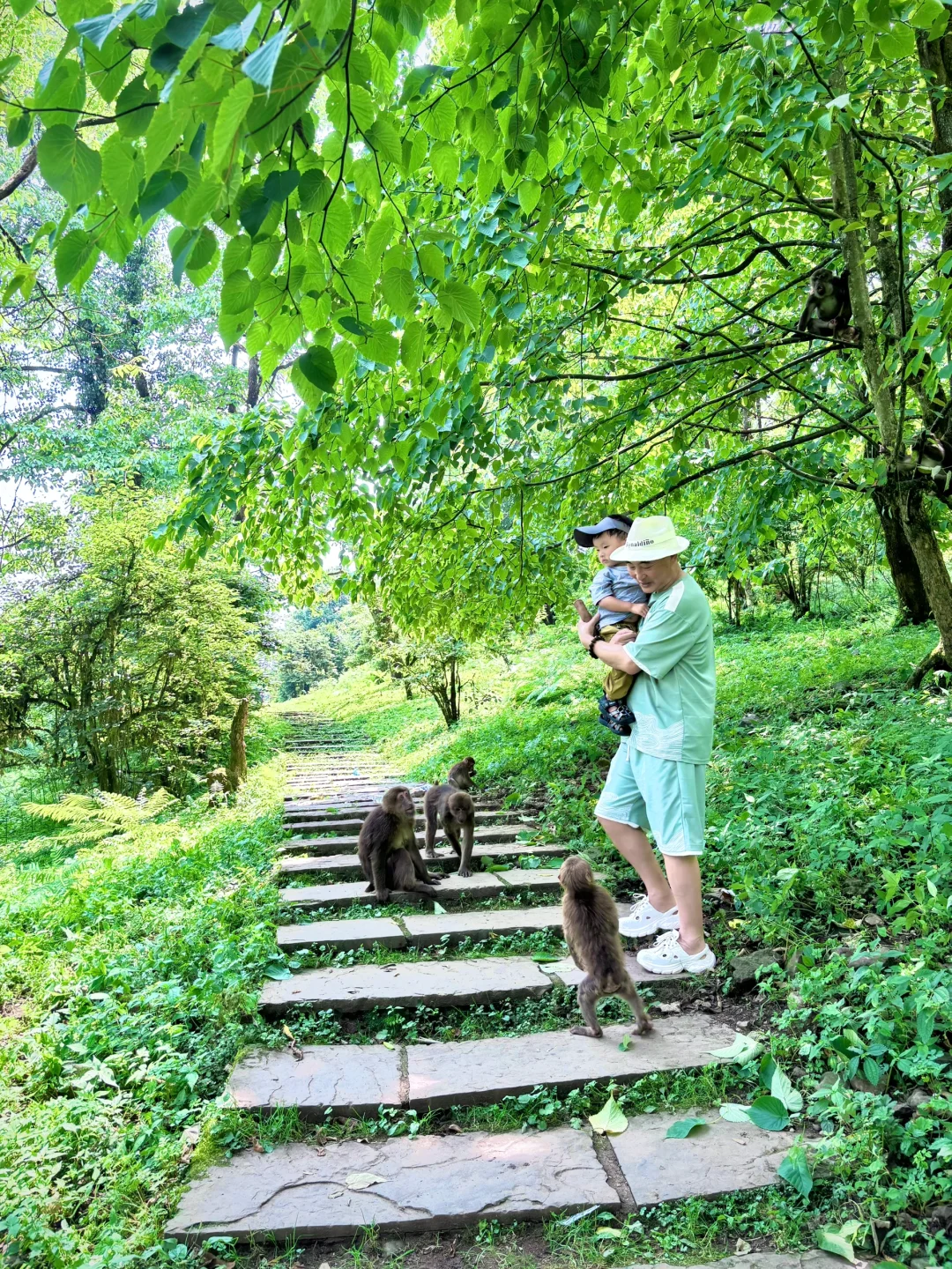 不想爬山又想凉快且绿植茂盛的地方