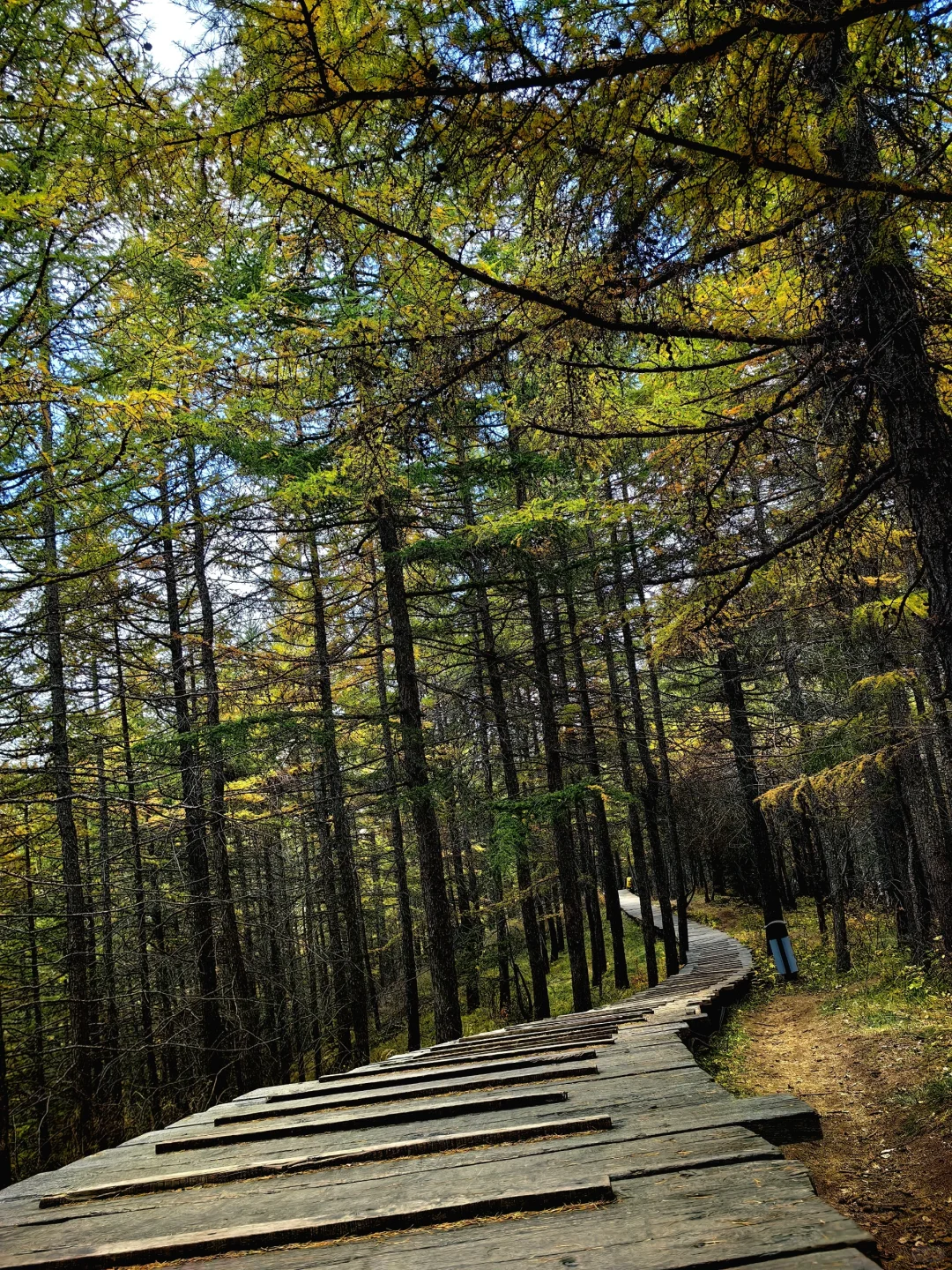 📍乌兰察布·苏木山森林公园