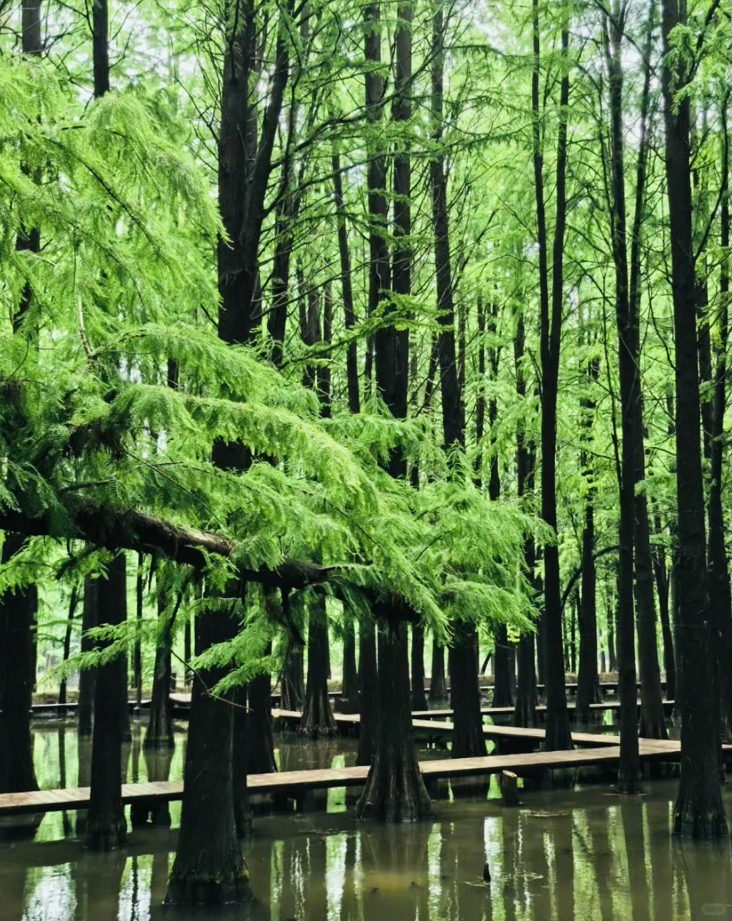 江苏人民都收到通知了吗！！！！！