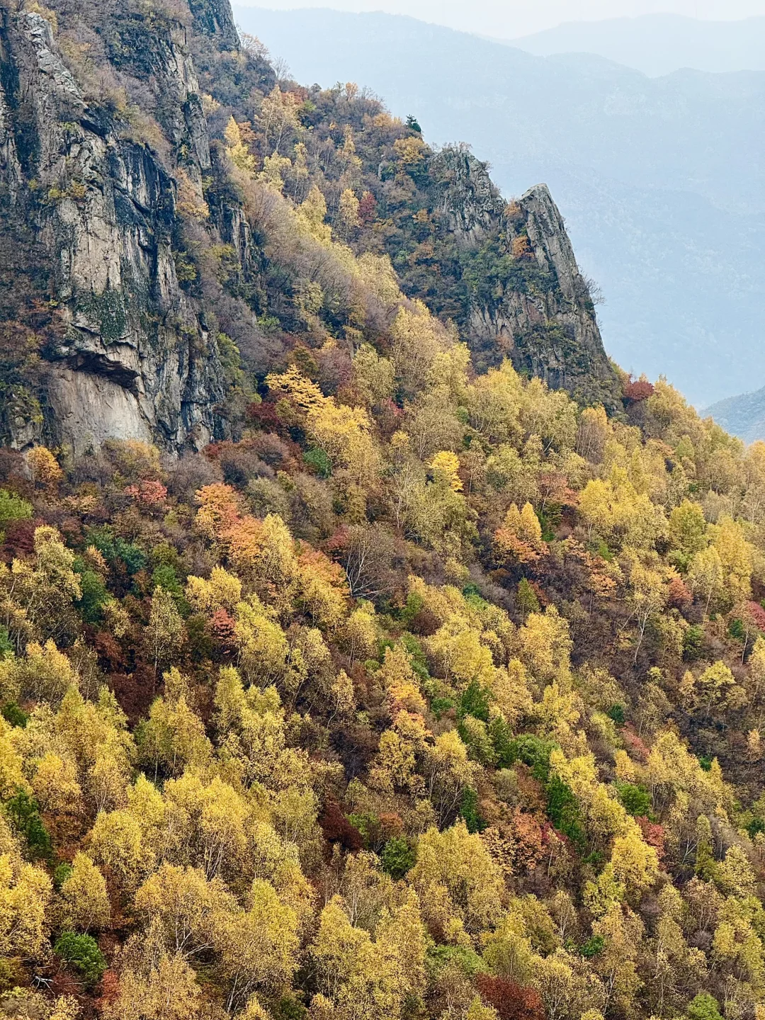 京津自驾4h｜辉川赏秋 人不多 叶子还在🍂