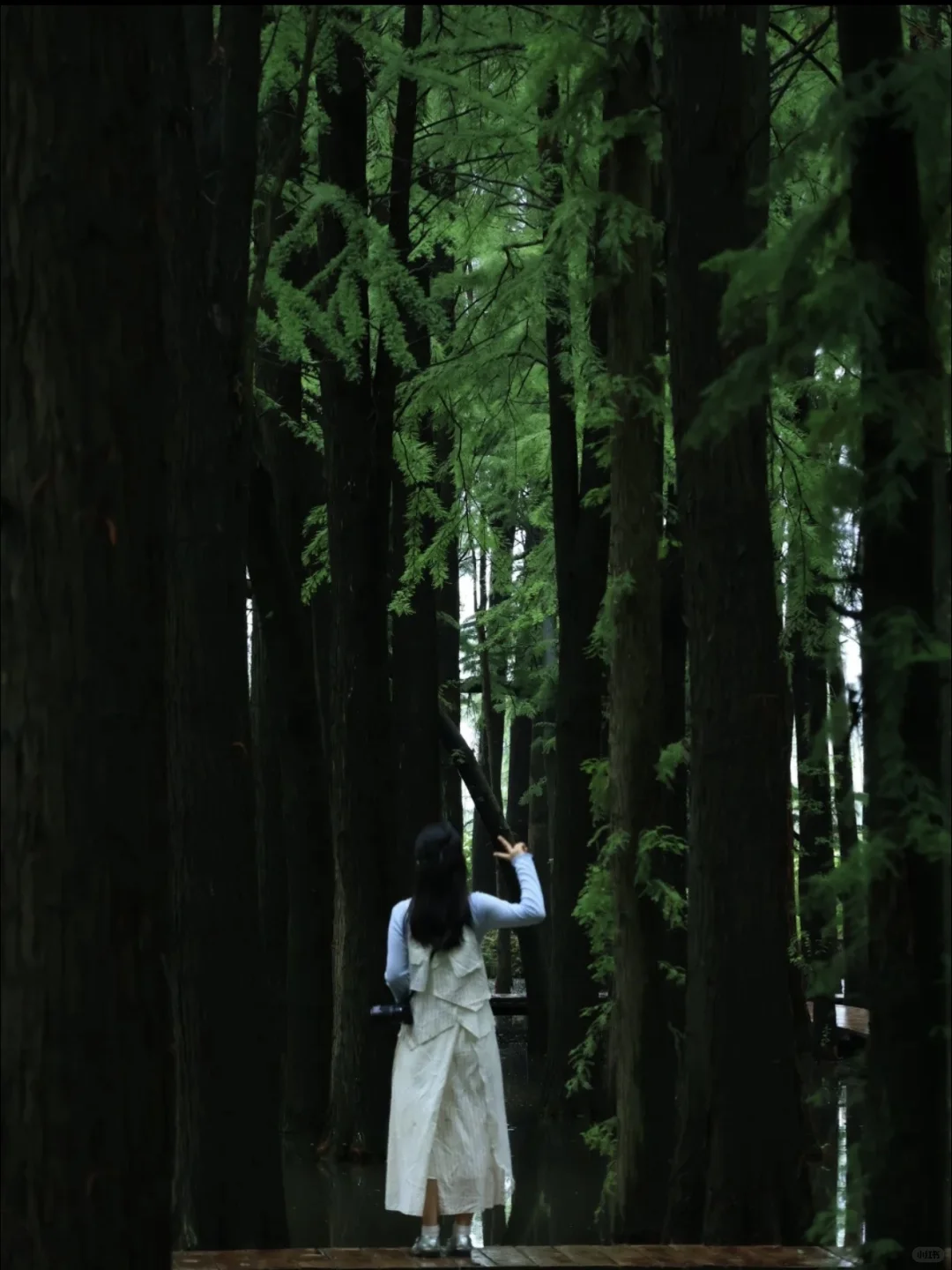 江苏人民都收到通知了吗！！！！！