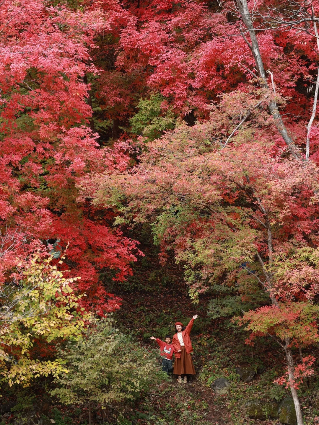 接下来的本溪，将是国内赏秋🍁最佳旅行地！！