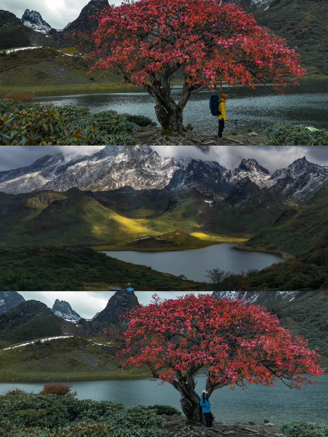 答应我，十月一定要去哈吧黑海