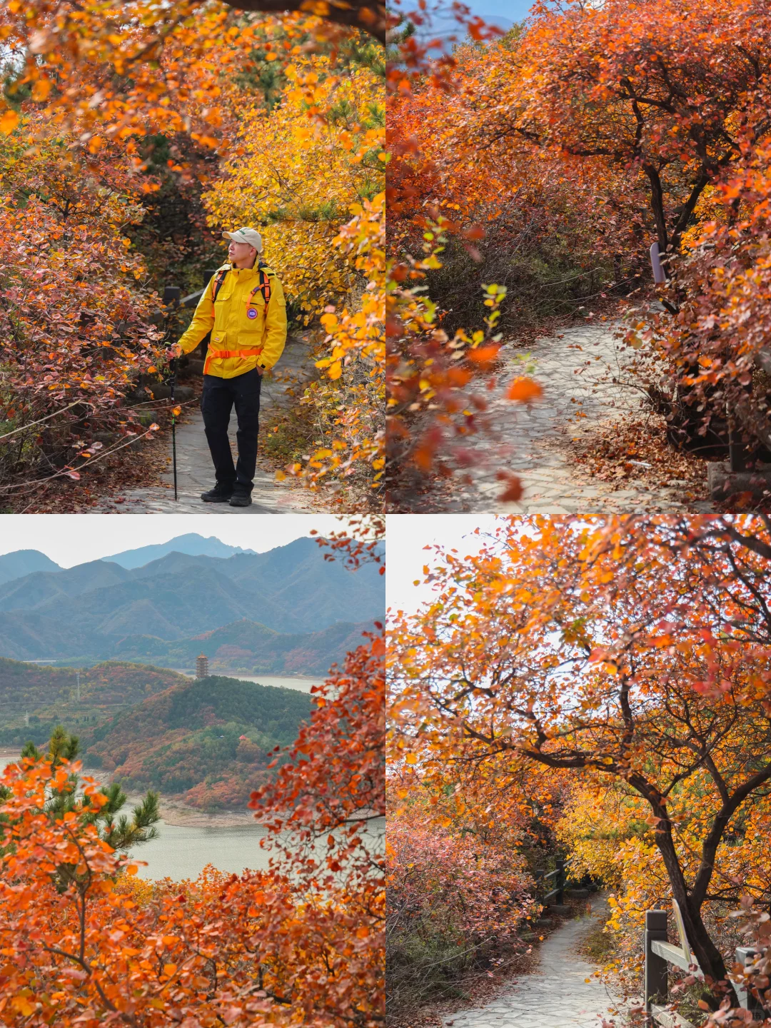 发朋友圈被问爆的绝美红叶谷🍁附地图