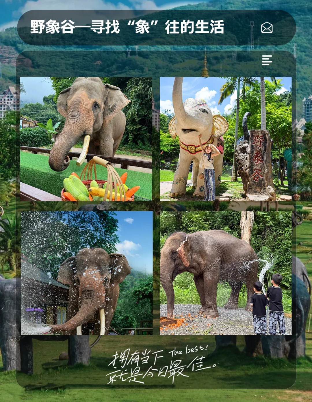 🌴西双版纳🏖️人均1k+性价比绝了!