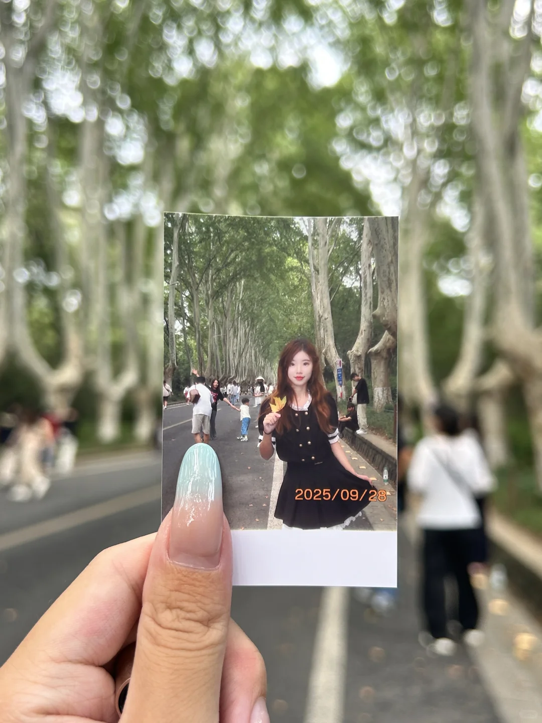 为了这18张live图📷来了趟南京……附具体位置