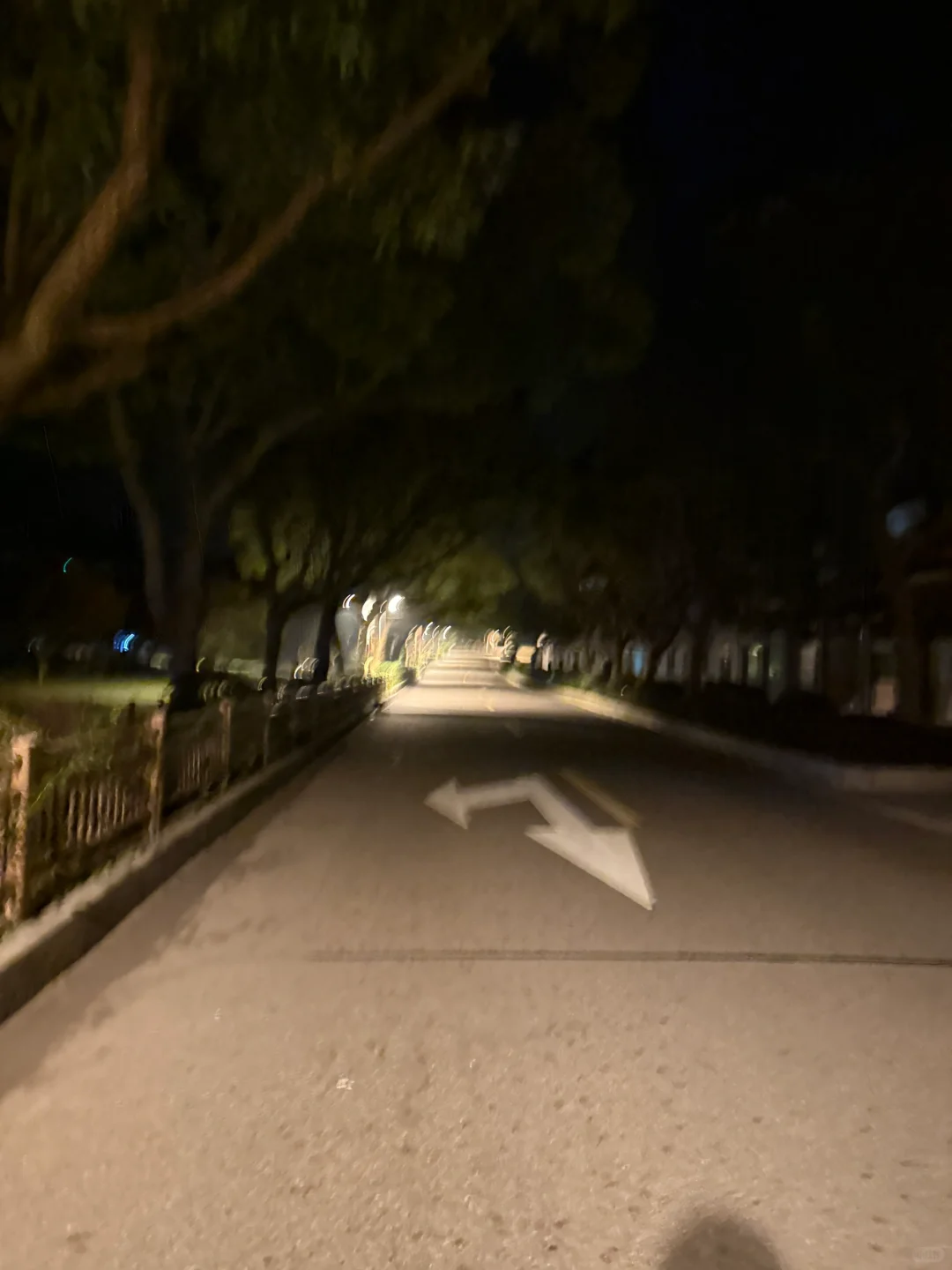 🌟 普陀山：一个人的朝圣之旅