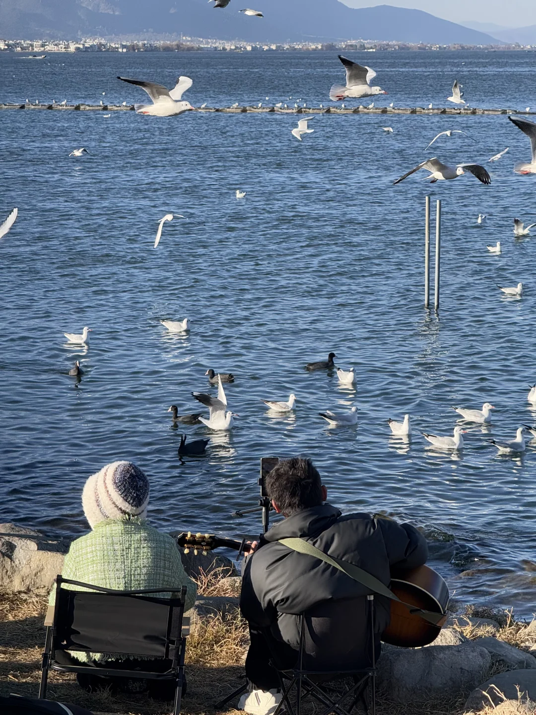 大理的秋天🍂每一帧都是人生Live呀！！！！