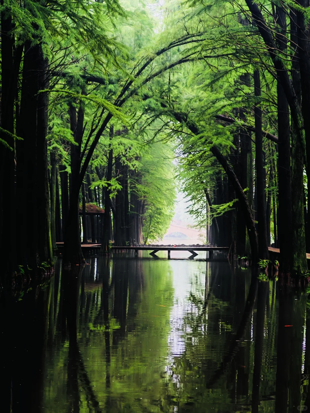 江苏人民都收到通知了吗！！！！！