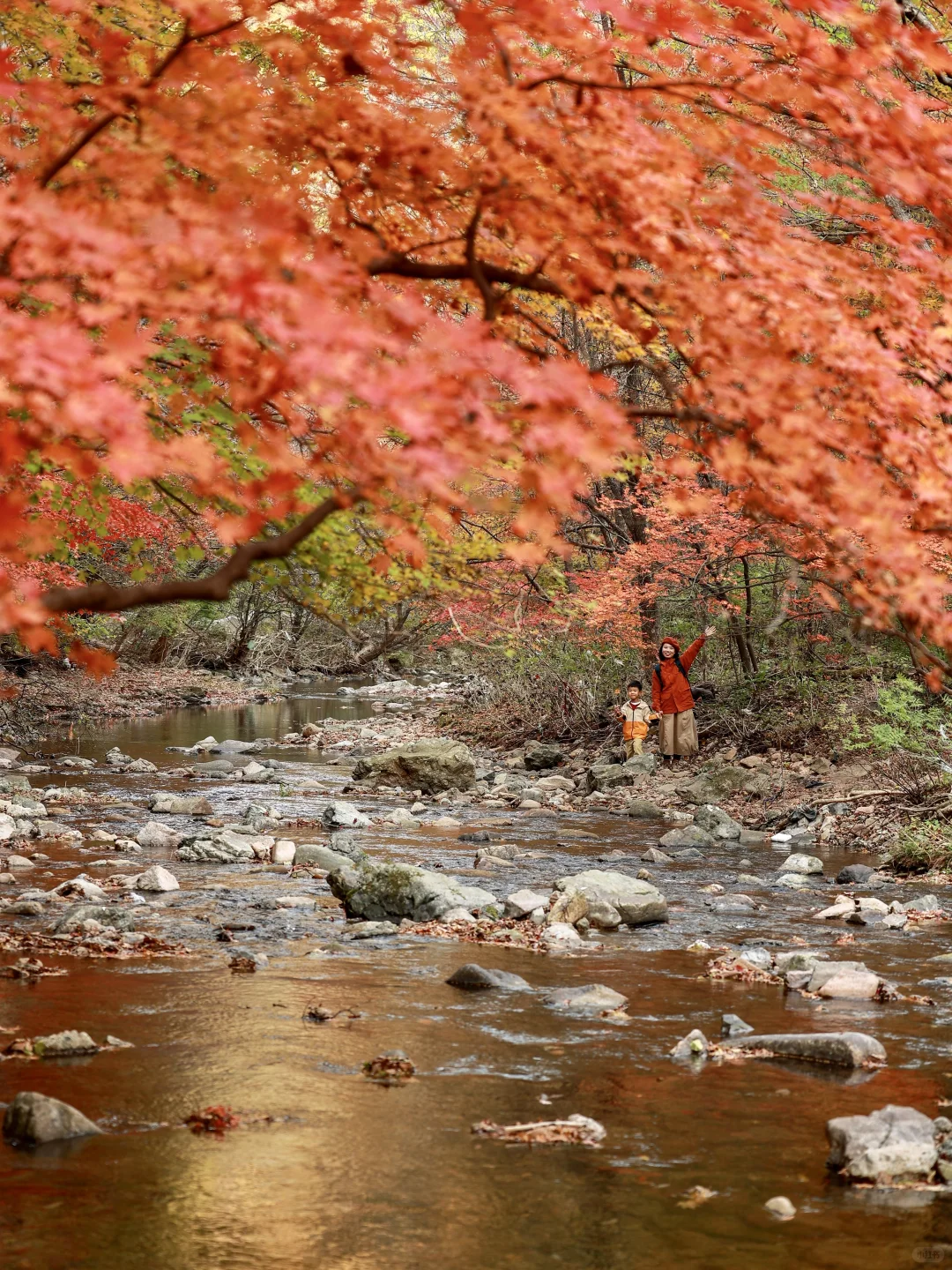 接下来的本溪，将是国内赏秋🍁最佳旅行地！！