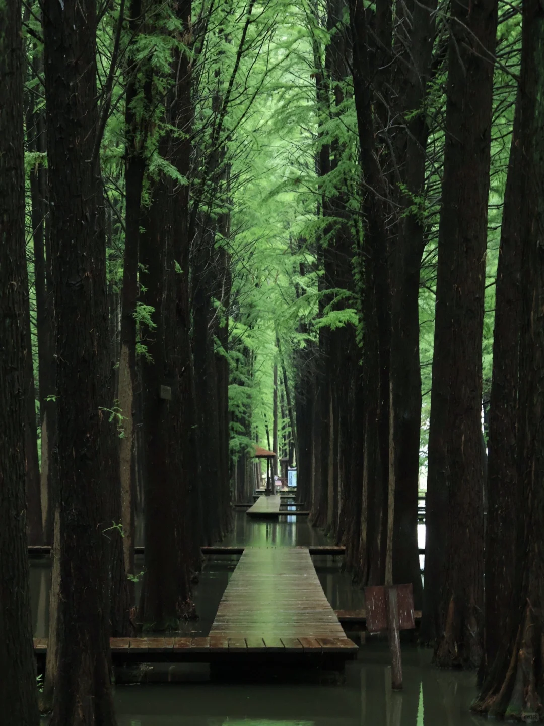 江苏人民都收到通知了吗！！！！！