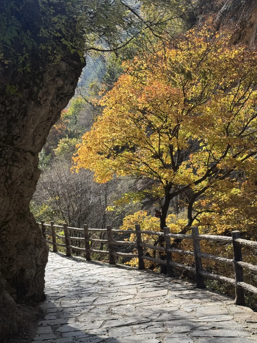 京津自驾4h｜辉川赏秋 人不多 叶子还在🍂