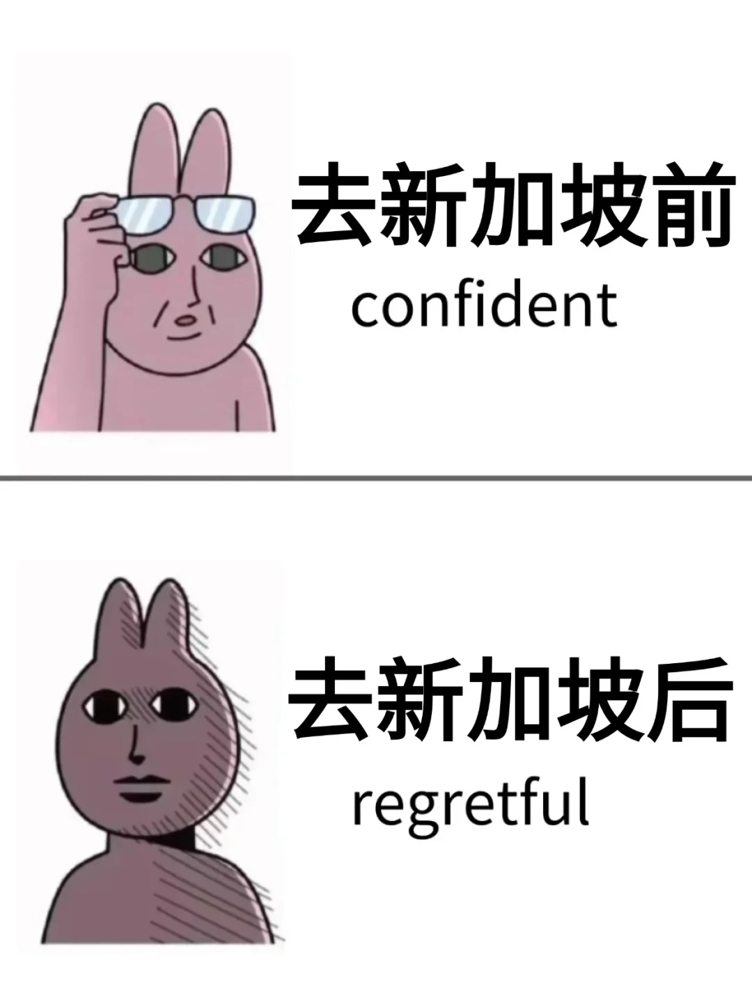 愿所有去新加坡的姐妹都能刷到这篇