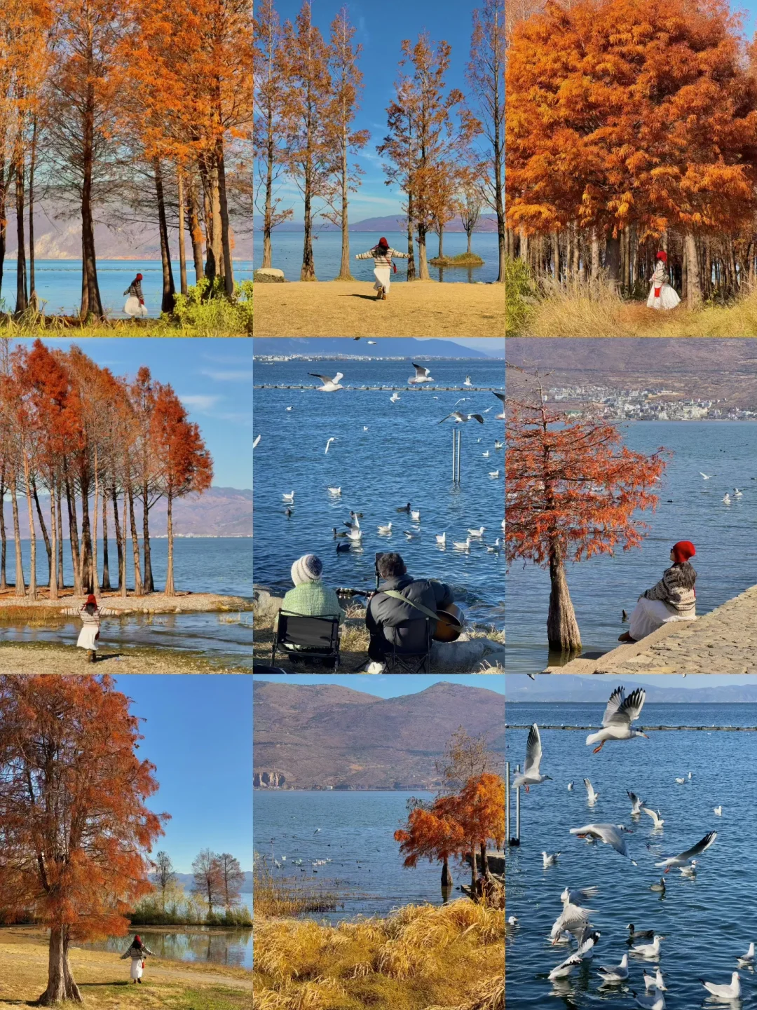 大理的秋天🍂每一帧都是人生Live呀！！！！