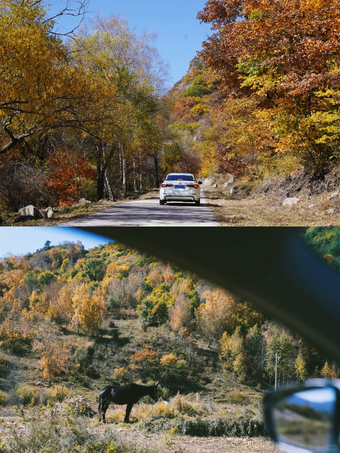 国庆赏秋10.2 | 免费人少，自驾五道沟景区