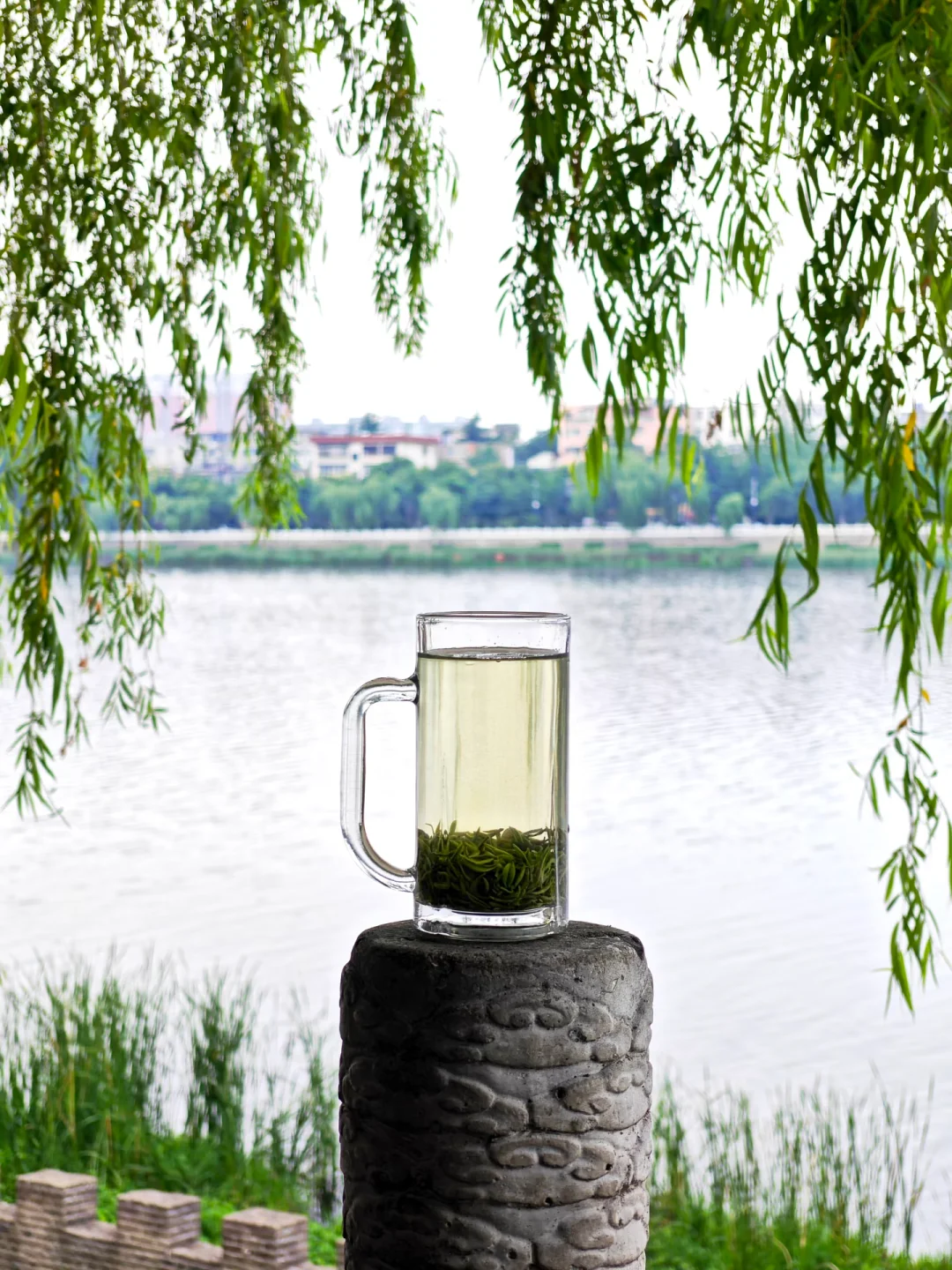 信阳📍🌳一个巨大的绿色能量场（含攻略