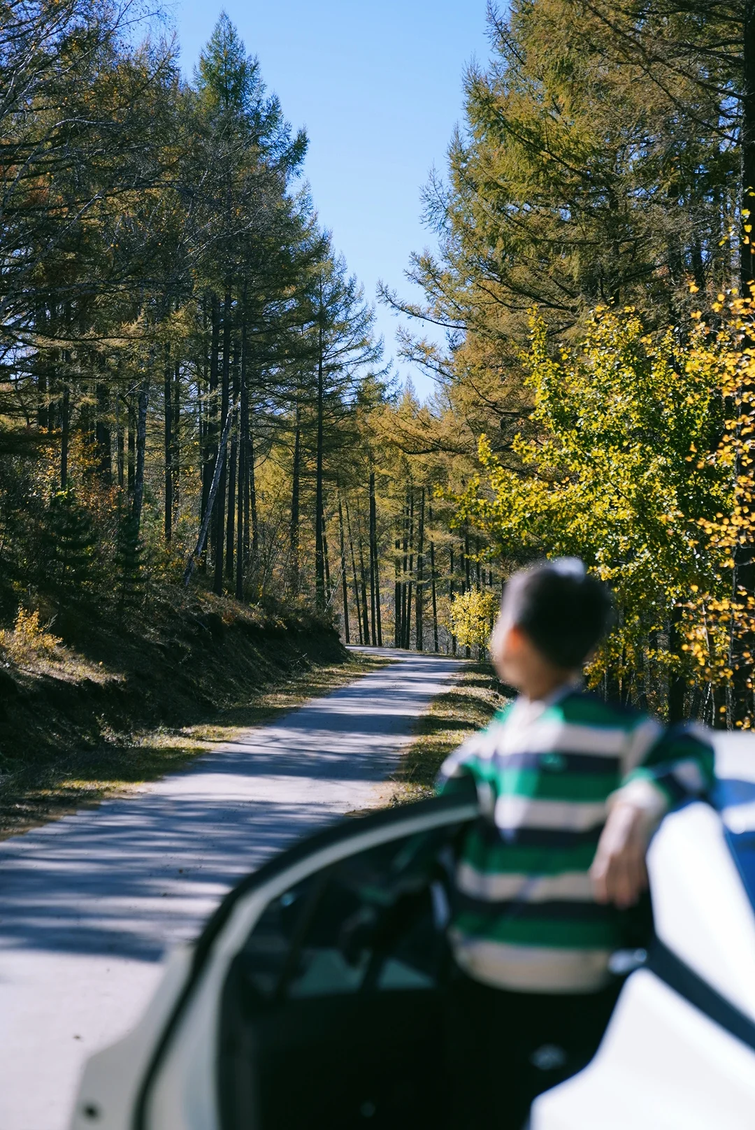 国庆赏秋10.2 | 免费人少，自驾五道沟景区