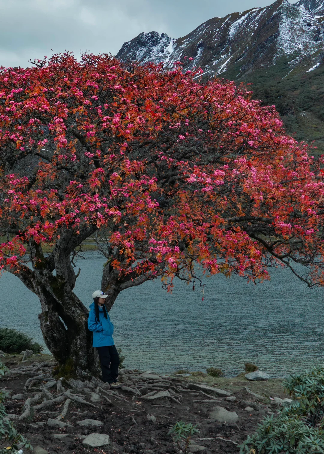 答应我，十月一定要去哈吧黑海