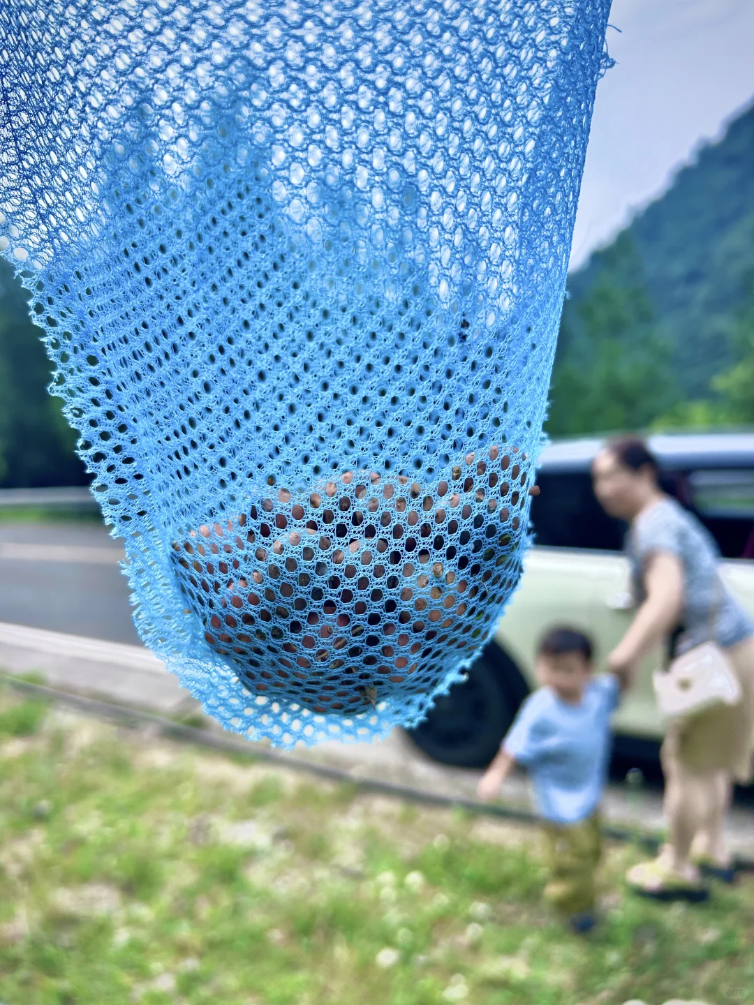 不想爬山又想凉快且绿植茂盛的地方