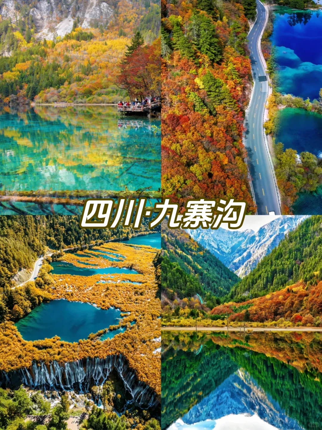 🍂《国内赏秋天花板》9大秘境·抢先收藏!