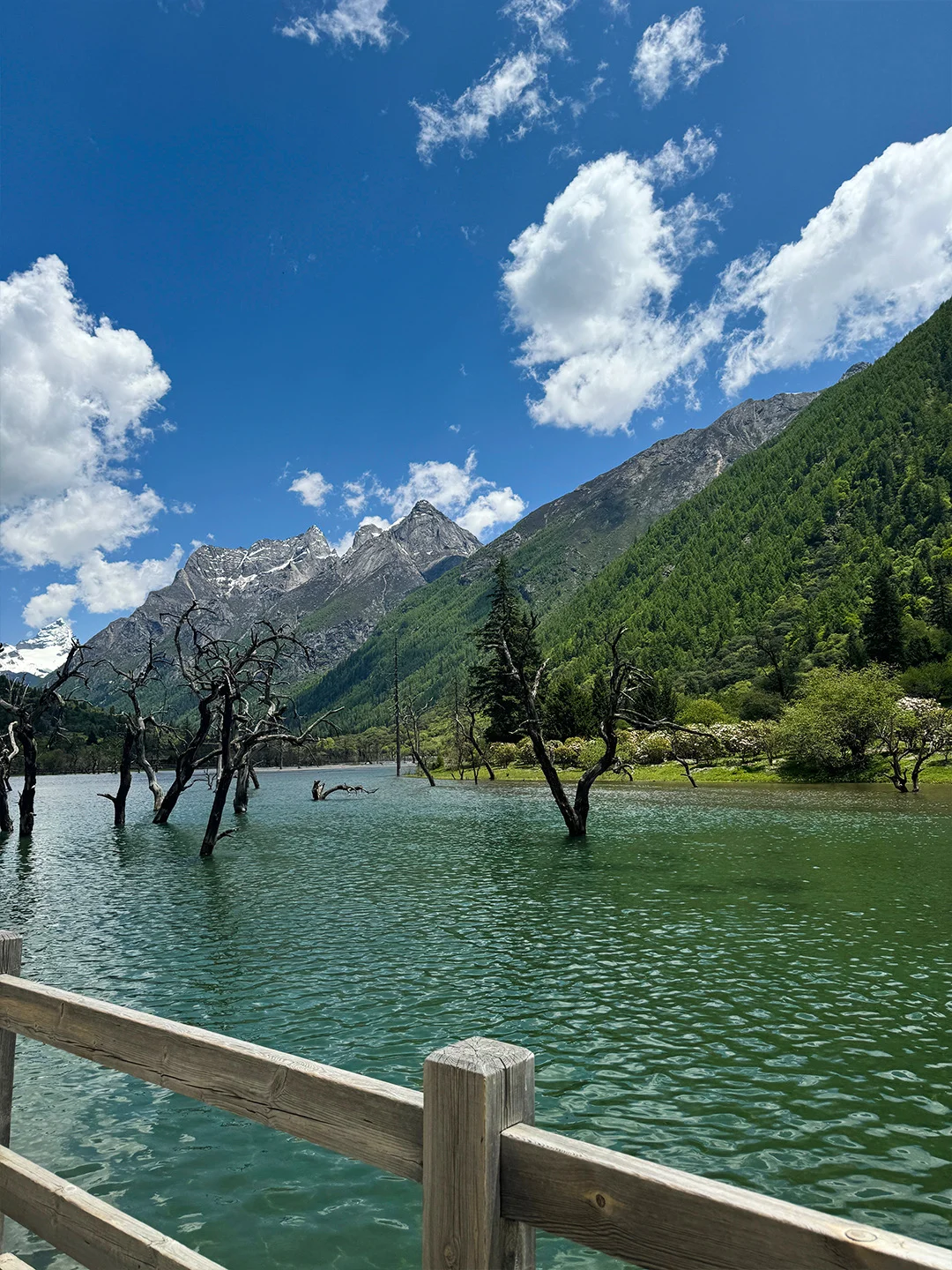 四姑娘山📍双桥沟，成都往返一日游仅178
