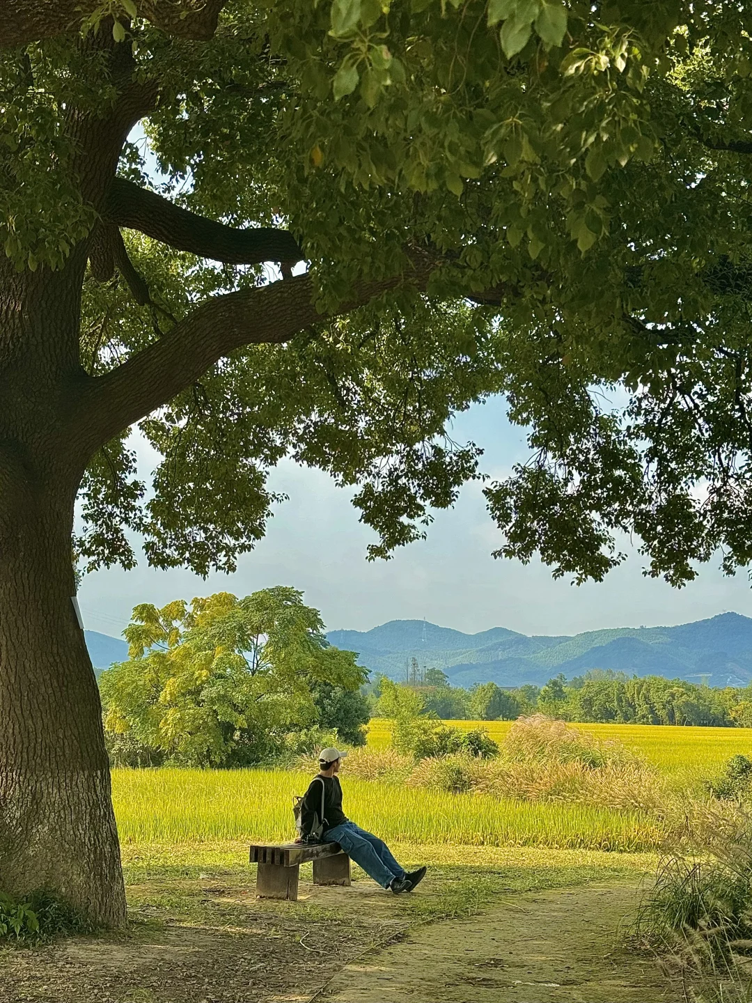 接下来的杭州…堪称秋日旅行天花板！（live版