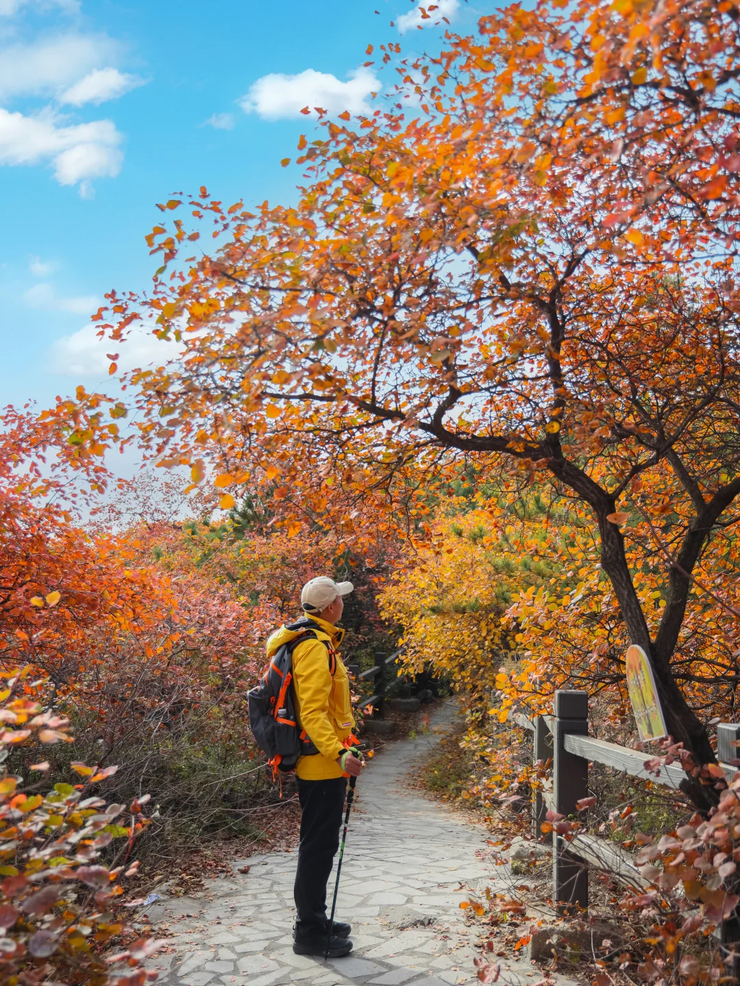 发朋友圈被问爆的绝美红叶谷🍁附地图