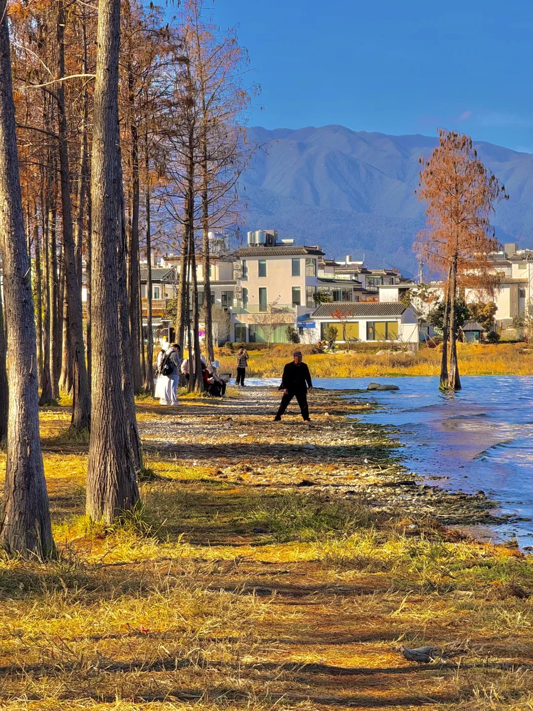 大理的秋天🍂每一帧都是人生Live呀！！！！
